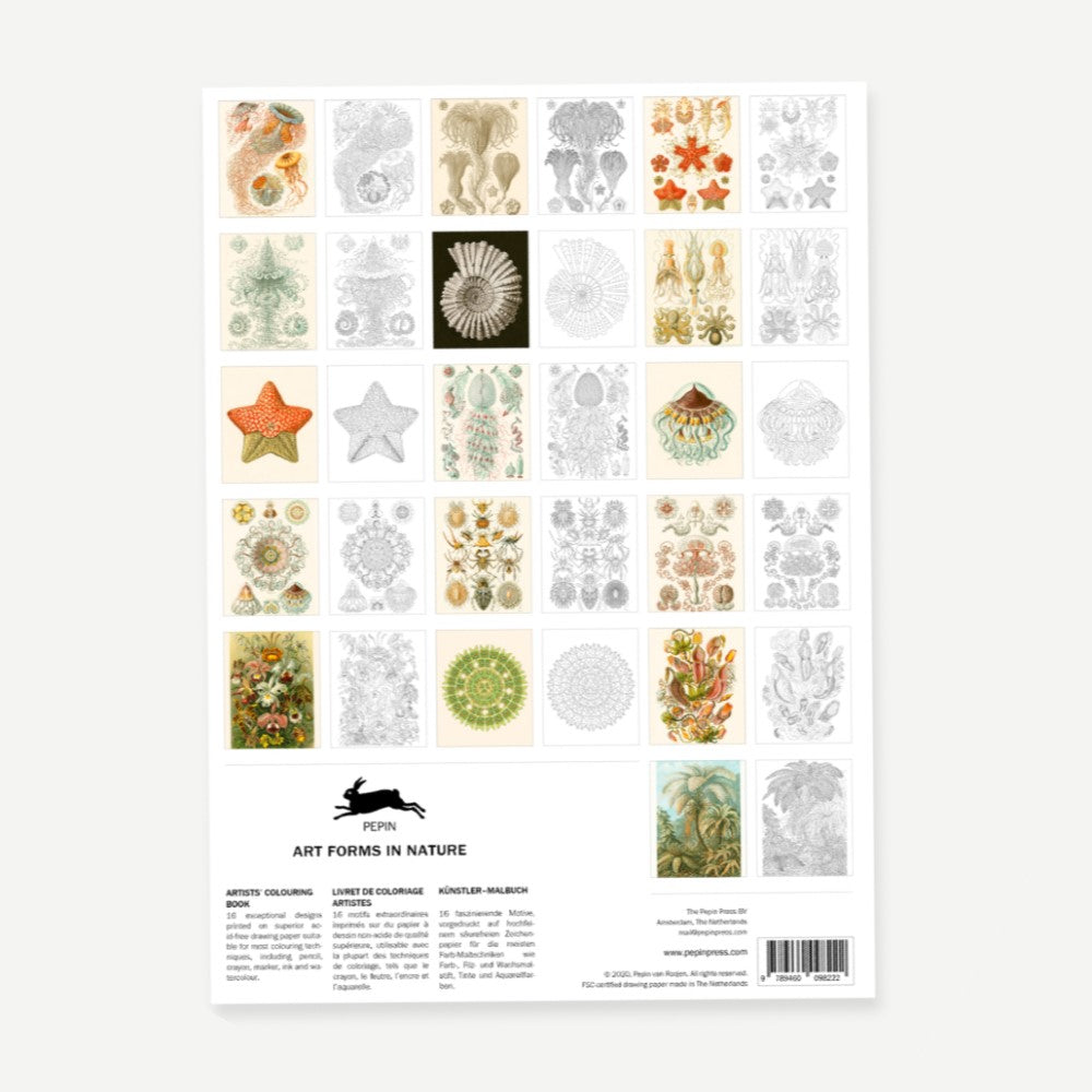 Artist Coloring Book - Art Forms in Nature