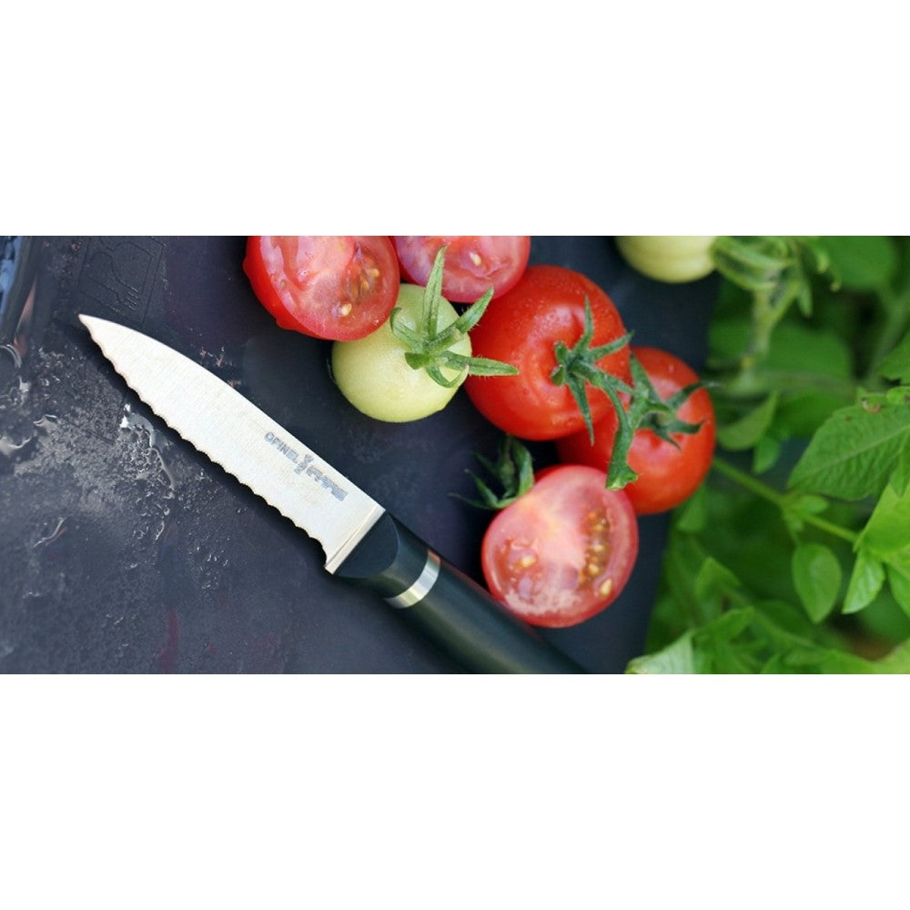 Knife N°226- Paring