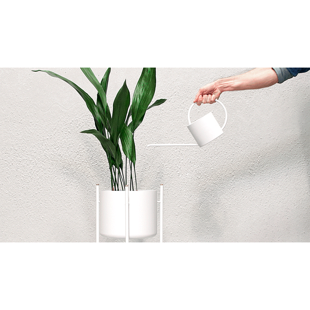 O-Collection Watering