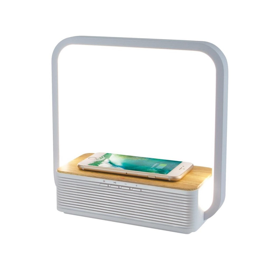 BT Speaker LED Charger