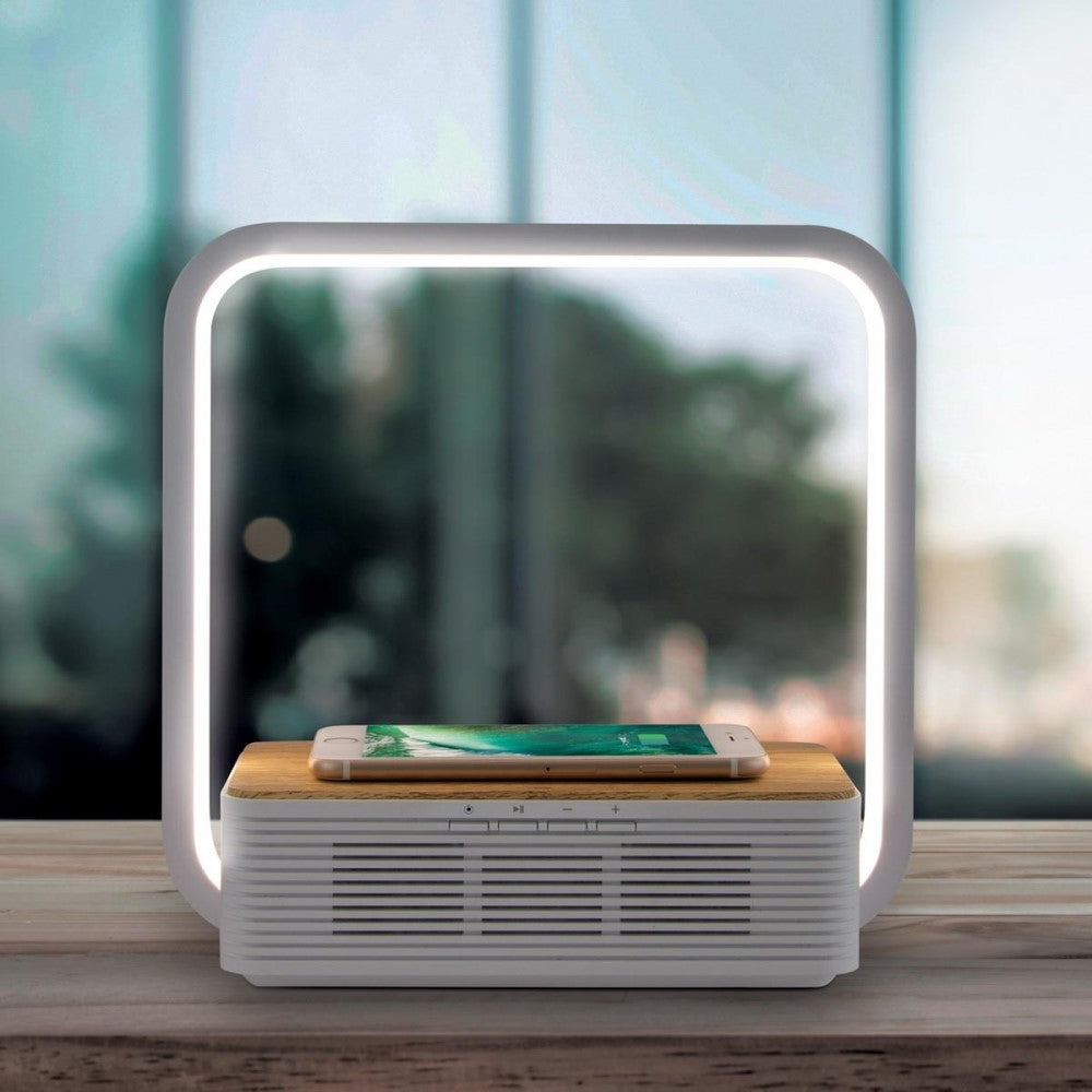 BT Speaker LED Charger