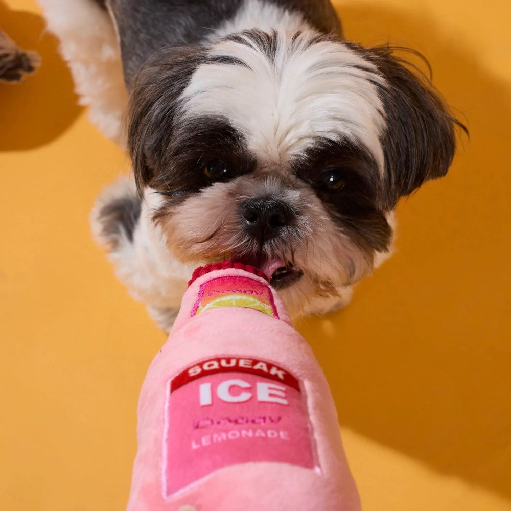 Dog Toy Box - Donuts and Lemonade