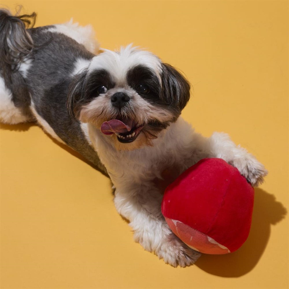 Dog Toy Box - Ham and Sausage