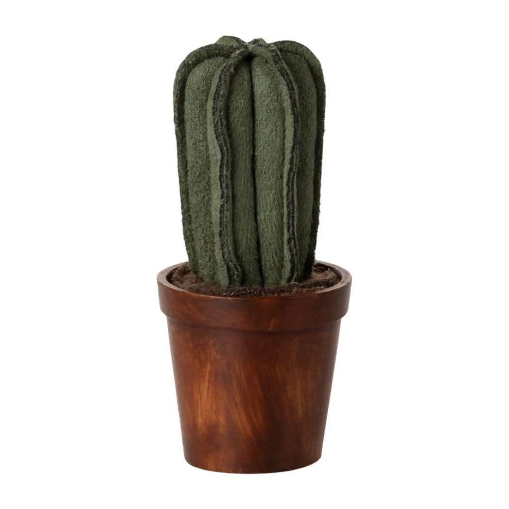 Flower pot with cactus, Miniature