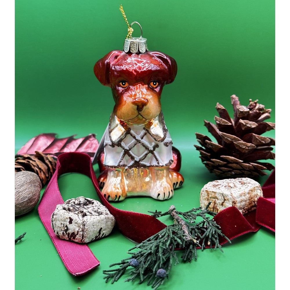 Costume Dog Ornament