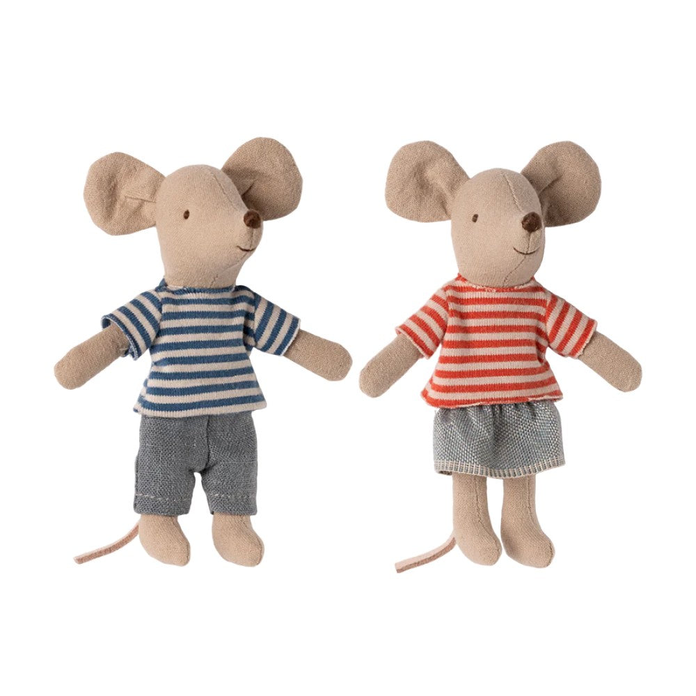 Little brother and sister mice