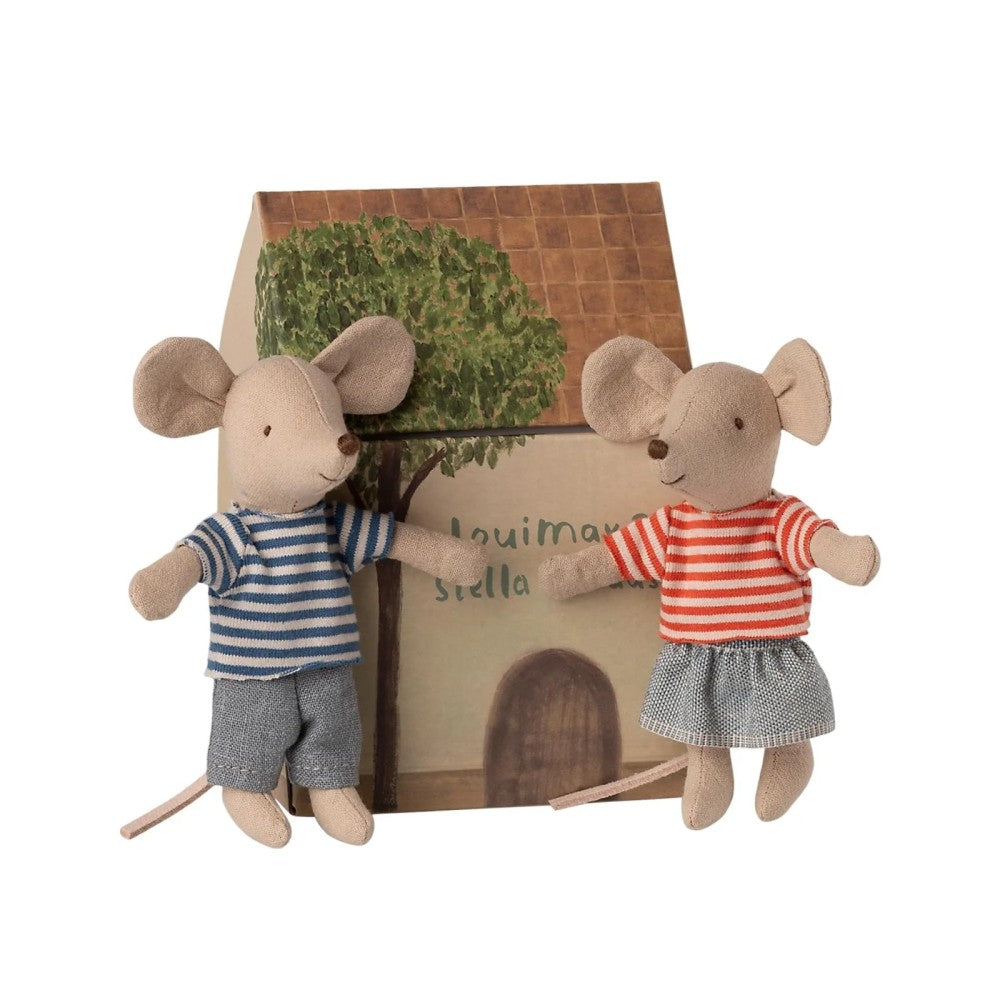 Little brother and sister mice