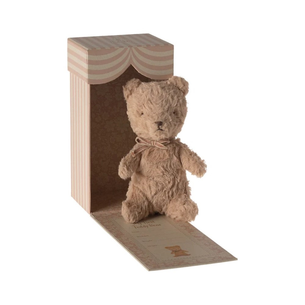 My First Teddy - Powder