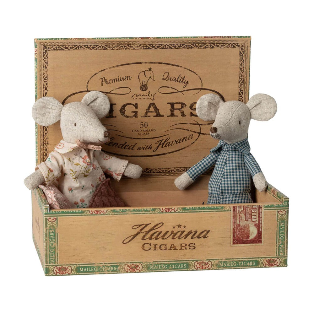 Grandma and grandpa mice in cigarbox