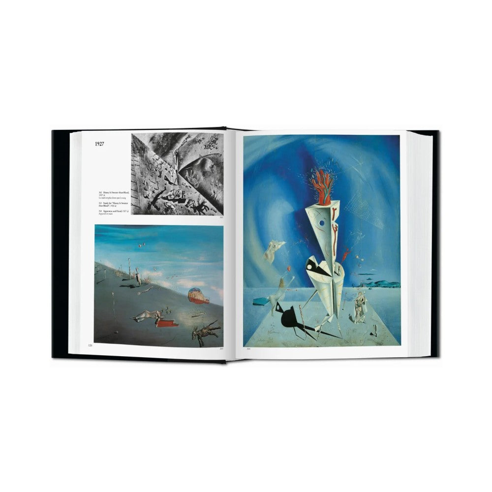 Dalí - The Paintings