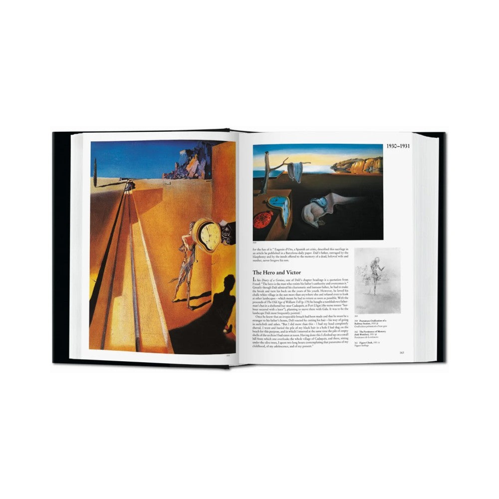 Dalí - The Paintings