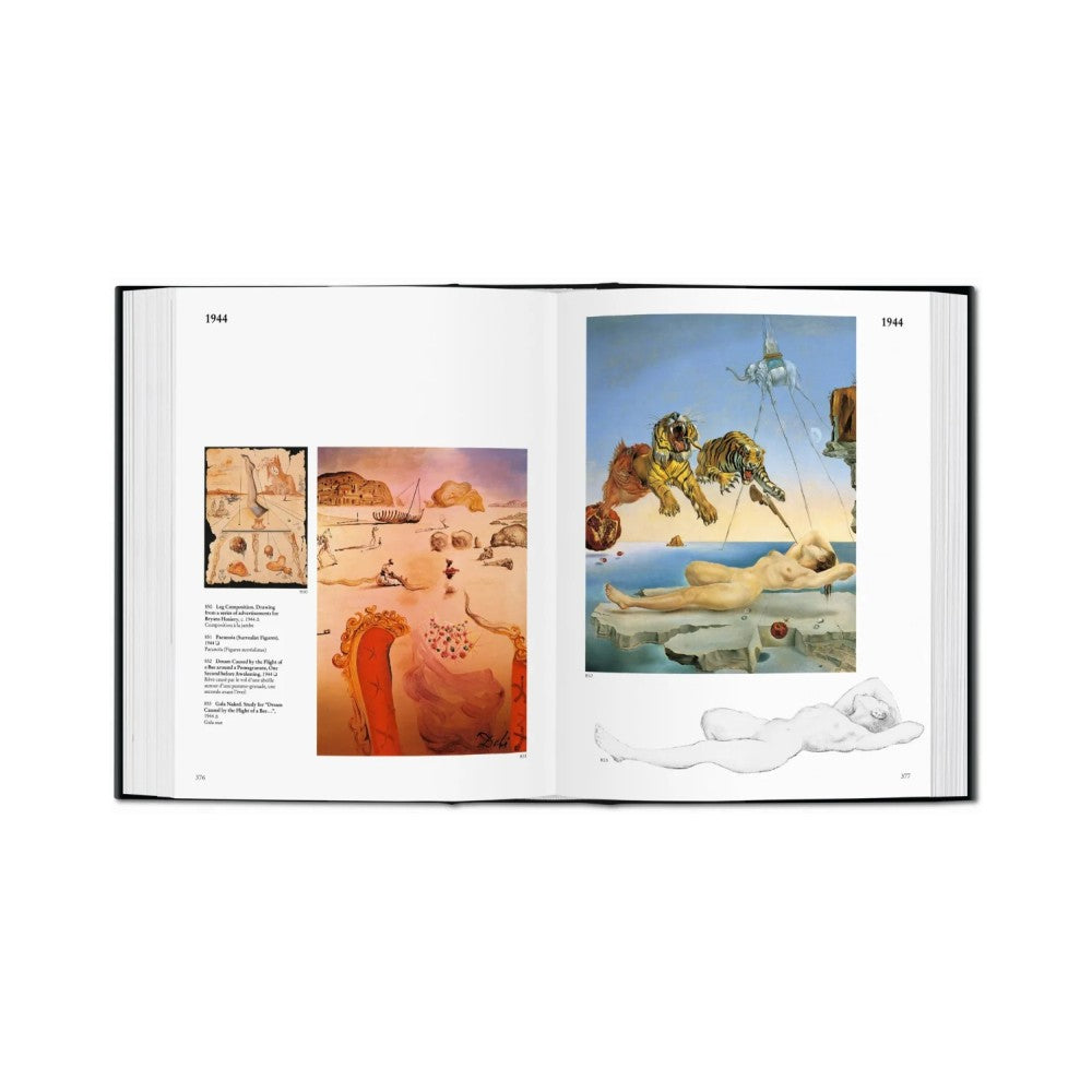 Dalí - The Paintings