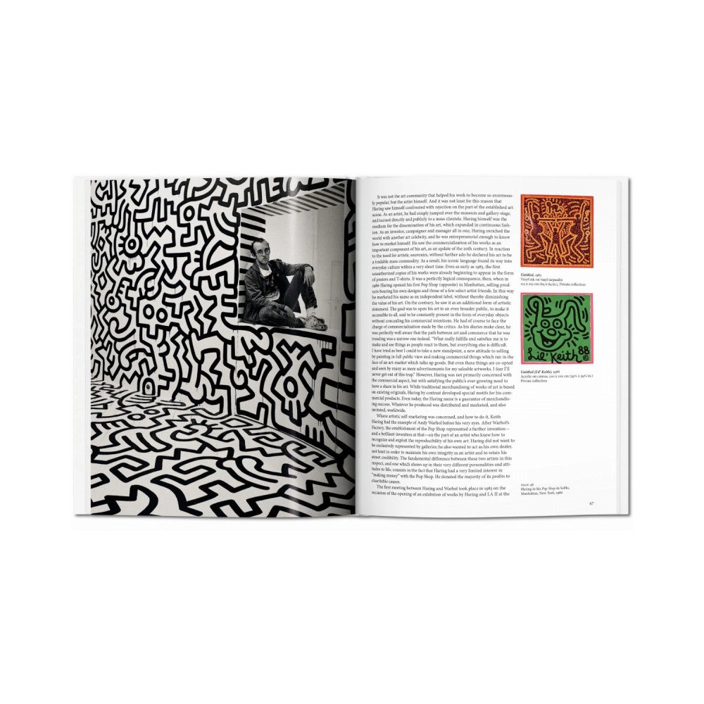 Basic Art Series - Haring