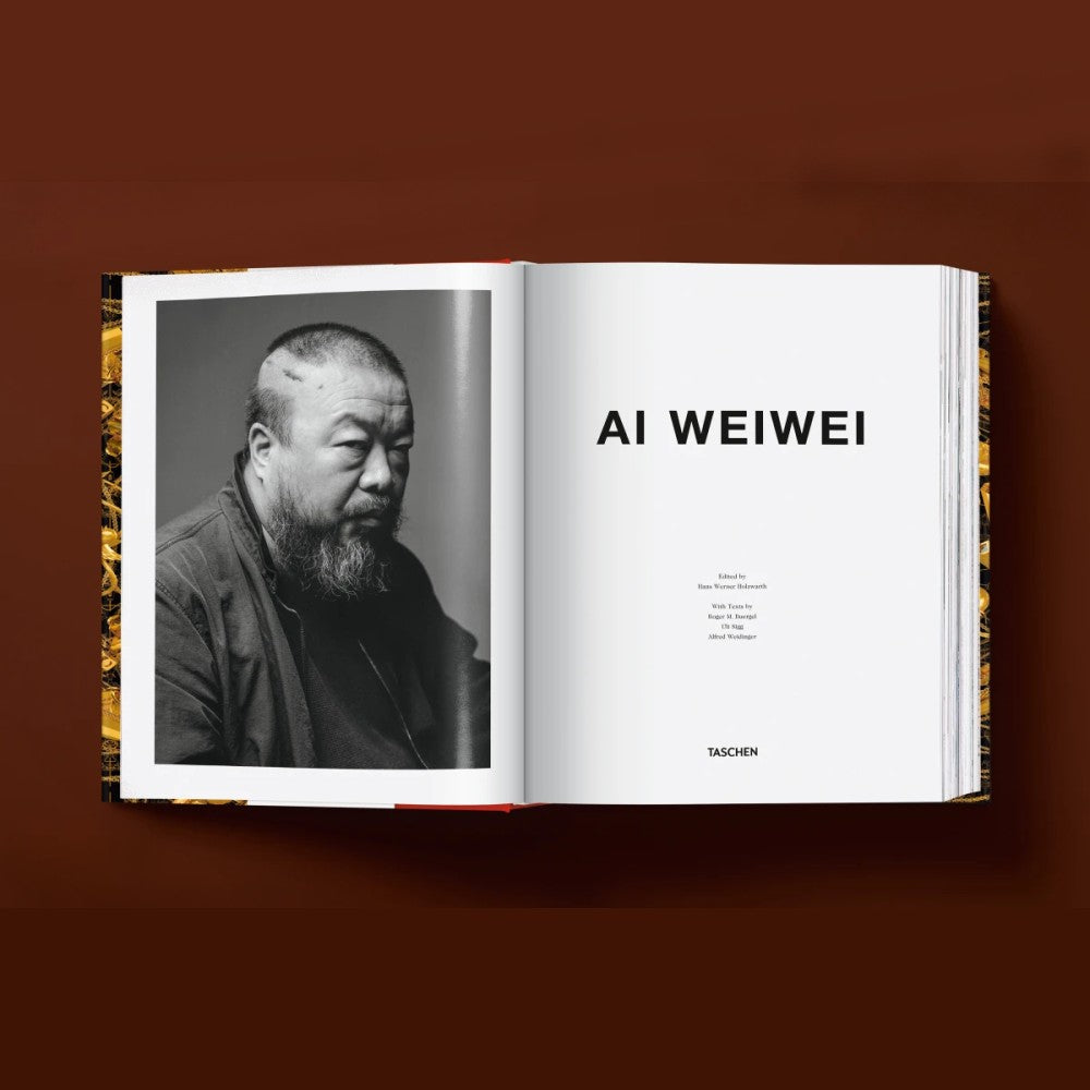 Ai Weiwei - Updated Edition