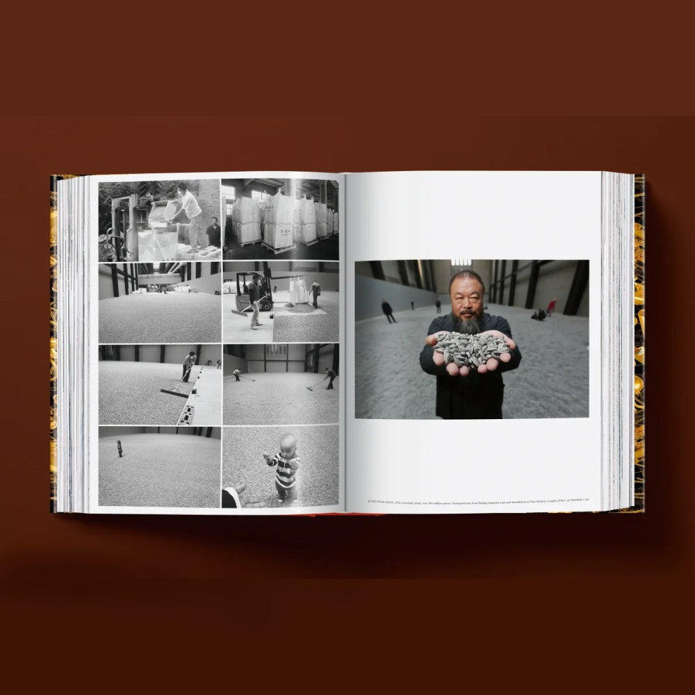 Ai Weiwei - Updated Edition