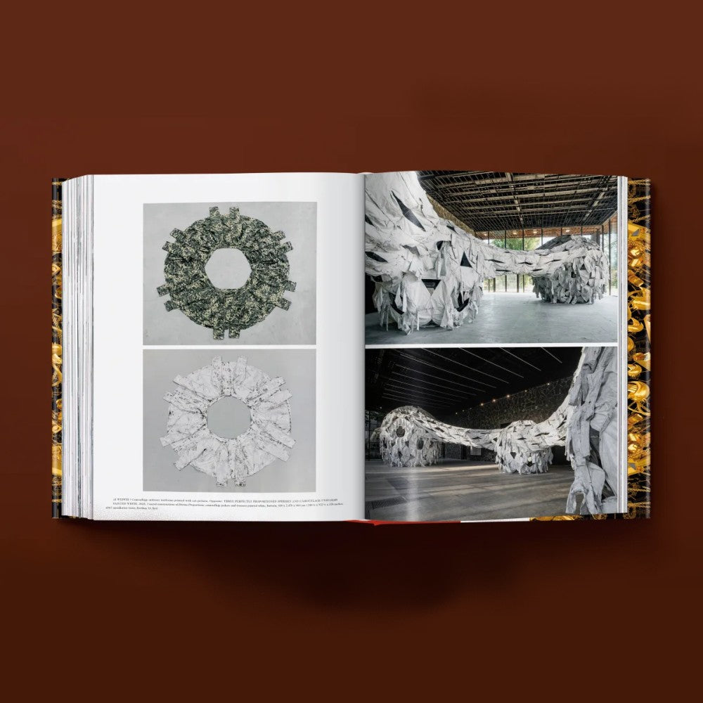 Ai Weiwei - Updated Edition