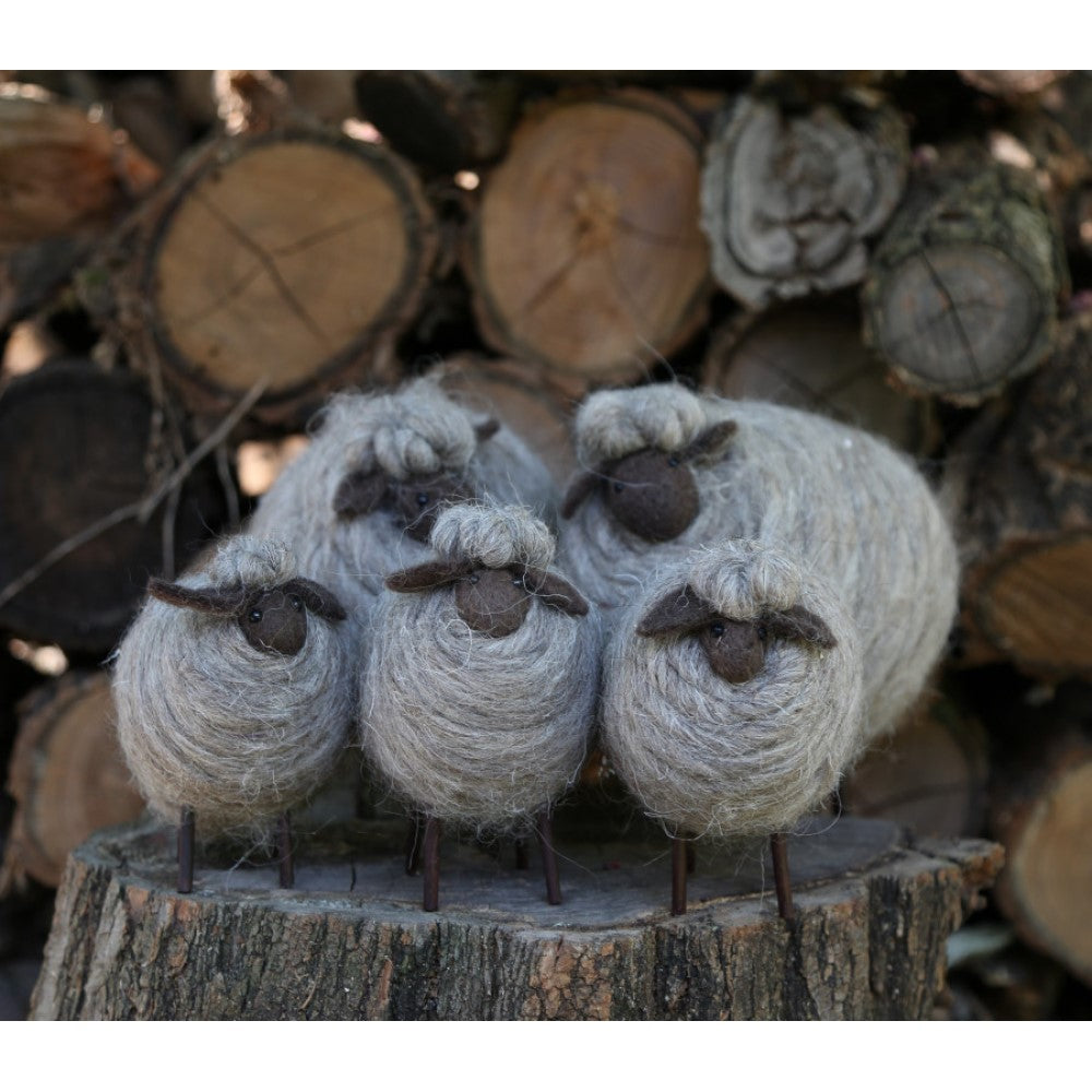 Grey Woolen Sheep With Box
