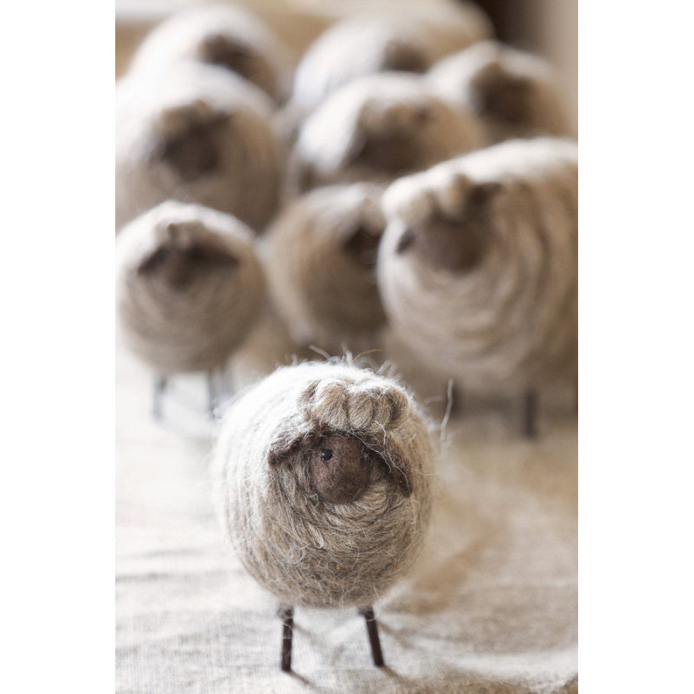 Grey Woolen Sheep With Box